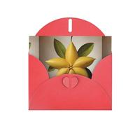 WZYWHJ Carte de vœux rouge de 15,2 x 10,2 cm avec enveloppe pour Noël, anniversaire, Saint-Valentin, fête, invitation, carte, étoile fruitée à cinq branches