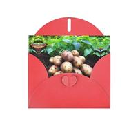 WZYWHJ Carte de vœux rouge pour Noël, anniversaire, anniversaire de mariage et autres motifs pommes de terre fraîches