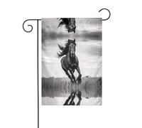Wzywhj Drapeau de jardin d'été double face Motif étalon Noir 30,5 x 45,7 cm