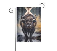Wzywhj Drapeau de jardin d'été imprimé bison d'Amérique du Nord - Double face - Décoration de cour - 30,5 x 45,7 cm