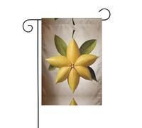 WZYWHJ Drapeau de jardin étoilé à cinq branches - 30,5 x 45,7 cm - Épais, robuste - Drapeau décoratif d'extérieur pour jardin, pelouse, balcon