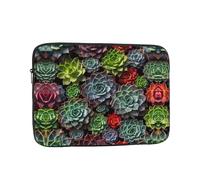 WZYWHJ Housse pour ordinateur portable de 15" avec impression colorée de plantes succulentes - Pour homme et femme - Pour voyage d'affaires, école, bureau - Utilisation quotidienne