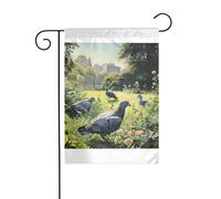 Wzywhj Image Pigeons sur l'herbe Drapeau de jardin d'été double face Décoration cour 30,5 x 45,7 cm