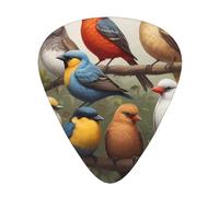 Wzywhj Lot de 12 médiators de guitare avec motif portrait de famille d'oiseaux pour basse, ukulélé, guitare acoustique et électrique