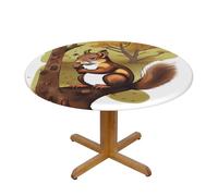 WZYWHJ Nut-Eating Nappe ronde imprimée écureuil imperméable et infroissable pour table de salle à manger