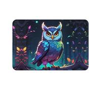 WZYWHJ Paillasson antidérapant 40,6 x 61 cm, facile à nettoyer, convient pour porte d'entrée, salon, salle de bain, imprimé hibou phosphorescent