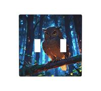 WZYWHJ Panneau thermoplastique imprimé hibou mystérieux pour interrupteur mural décoratif qui n'est pas facilement endommagé