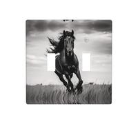 WZYWHJ Panneau thermoplastique noir pour interrupteur mural décoratif qui n'est pas facilement endommagé