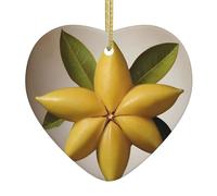 WZYWHJ Pendentif de Noël en céramique en forme de cœur à suspendre pour sapin de Noël, décoration de festival, étoile fruitée, étoile à cinq branches