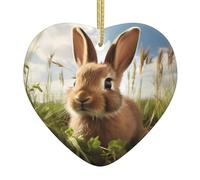 WZYWHJ Pendentif de Noël en céramique en forme de cœur à suspendre pour sapin de Noël, décoration de festival, lapin sur herbe verte