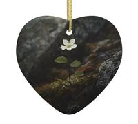 WZYWHJ Pendentif de Noël en céramique en forme de cœur pour arbre à suspendre - Décoration de festival - Image de fleur inconnue