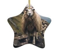 WZYWHJ Pendentif de Noël en céramique en forme d'étoile à suspendre pour festival, ornements, cordes, cadeaux de fête de vacances, petit mouton sur la colline imprimé