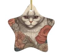 WZYWHJ Pendentif de Noël en céramique en forme d'étoile à suspendre pour sapin de Noël, supermarchés, maisons, gros plan d'empreintes d'œil de chat