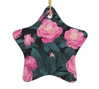 WZYWHJ Pendentif de Noël en céramique en forme d'étoile à suspendre pour sapin - pour supermarchés, maisons, imprimés de roses du désert