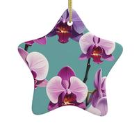WZYWHJ Pendentif de Noël en céramique en forme d'étoile à suspendre pour sapin - pour supermarchés, maisons, branches d'orchidées