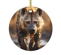 WZYWHJ Pendentif rond de Noël en céramique - 7,4 cm - Décoration à suspendre pour les magasins et les maisons - Image de hyène solitaire