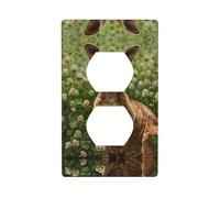 WZYWHJ Plaque murale décorative à double prise - Facile à installer - Idéal pour les zones résidentielles et commerciales 11,4 x 7,9 cm Impression Koala dans le trèfle