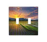 WZYWHJ Rice Paddy Field Plaque murale décorative imprimée soleil 11,4 x 11,4 cm Durable et élégante pour les zones résidentielles et commerciales