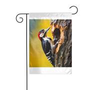 Wzywhj Tableau pic, pic, trous d'arbre, drapeau de jardin d'été double face, décoration cour 30,5 x 45,7 cm