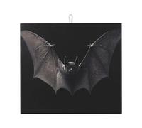 WZYWHJ Tapis de séchage imprimé « The Lights in the dark » pour la cuisine : fabriqué en éponge absorbant l'eau, avec cordon de suspension 45,7 x 40,6 cm