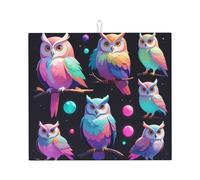 WZYWHJ Tapis de séchage pour cuisine Motif chouette Aurora : fabriqué en éponge absorbant l'eau, avec cordon de suspension 45,7 x 40,6 cm