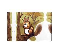 WZYWHJ Tapis de sol antidérapant Écureuil mangeur de noix Image douce et confortable bonne absorption d'eau Taille Nom pour salon et balcon