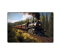 WZYWHJ Tapis de sol antidérapant Motif train à vapeur Doux et confortable Bonne absorption d'eau Taille Nom pour salon et balcon