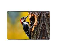 WZYWHJ Tapis de sol antidérapant Pivert picant aux trous d'arbre Impression douce et confortable Bonne absorption de l'eau Taille Nom pour salon et balcon