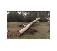 WZYWHJ Tapis de sol antidérapant pour salon, chambre d'enfant, tapis de jeu, 152,4 x 99,1 cm, imprimé arbre soufflé