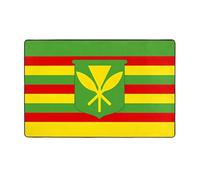 WZYWHJ Tapis de sol antidérapant pour salon, chambre d'enfant, tapis de jeu 152,4 x 99,1 cm, motif drapeau hawaïen indigène