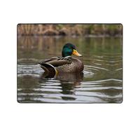 WZYWHJ Tapis de sol antidérapant pour salon, chambre d'enfant, tapis de jeu, 160 x 121,9 cm, image de canard sauvage