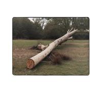 WZYWHJ Tapis de sol antidérapant pour salon, chambre d'enfant, tapis de jeu, 160 x 121,9 cm, imprimé arbre soufflé