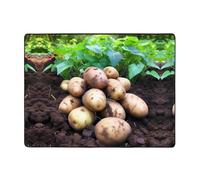 WZYWHJ Tapis de sol antidérapant pour salon, chambre d'enfant, tapis de jeu, 160 x 121,9 cm, motif pommes de terre fraîches