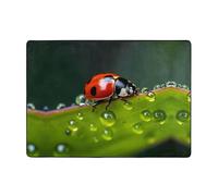 WZYWHJ Tapis de sol antidérapant pour salon, chambre d'enfant, tapis de jeu, 203,2 x 147,3 cm, imprimé coccinelle sept étoiles
