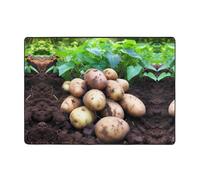 WZYWHJ Tapis de sol antidérapant pour salon, chambre d'enfant, tapis de jeu, 203,2 x 147,3 cm, motif pommes de terre fraîches