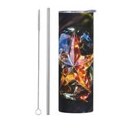WZYWHJ Tasse en acier inoxydable de 591 ml - Tasse écologique de qualité avec couvercle hermétique et paille à effet isolant - Ensemble de 2 pièces avec étoile en cristal imprimé