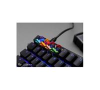 Ducky x Hotkeys Ducky League Aqua Duck