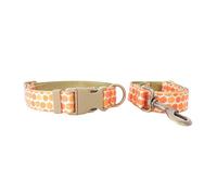 X-Institute Collier pour chien - Jolie laisse en forme de citrouille pour grands chiens - Harnais solide sur le thème de la récolte - Longue ceinture - Thème Halloween