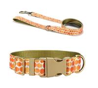 X-Institute Collier pour chien - Jolie laisse en forme de citrouille pour grands chiens - Harnais solide sur le thème de la récolte - Longue ceinture - Thème Halloween
