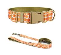 X-Institute Collier pour chien - Jolie laisse en forme de citrouille pour grands chiens - Harnais solide sur le thème de la récolte - Longue ceinture - Thème Halloween