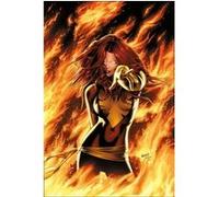 X-Men : Le chant du Phénix Greg Pak (Auteur), Greg Land (Dessinateur), Tyler Kirkham (Dessinateur)