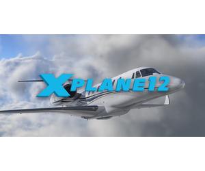X-Plane 12 (PC)