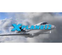 X Plane 12 (Steam Account)
