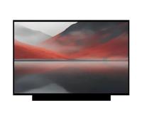 X psblty Compatible for MSI, MS-16JE MS-16J5 Écran D'ordinateur Portable A | 15,6 pouces 1920 x 1080 FHD IPS, 60 Hz, 40 broches eDP, non tactile, écran LCD for ordinateur portable(FHD IPS 72NTSC)