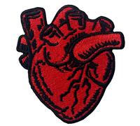 X-Ray Anatomical Coeur Brodé De Fer à Coudre Sur Le Patch