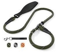 X XBEN Laisse Chien avec Stop IntéGré, 150cm RéFléChissant Longe pour Chien avec PoignéE Confortable RéSistante Convient Aux Chiens De Moyenne Et Grande Taille, 12mm, Vert