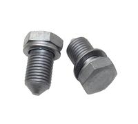 X1/X2 EA211 1.6, EA111 Oil Pan Drain Bolt, for VW for Golf 5, 6, for Jetta A5, A6, for Polo 9N, for Tiguan 5N, for Passat B6, for CC, for A4, A6, Part Number N90813202.(2 PCS)