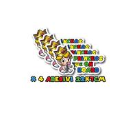 x4 Autocollant pour voiture fille à bord à thème Super Mario - Baby on Board Princess on Board avec une touche d'espièglerie et de style - Achetez maintenant pour une conduite amusante!