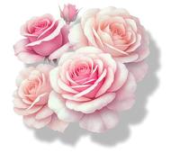 x4 Autocollants en vinyle fleur de rose rose pâle couvrent les marques, art floral non transparent imperméable Décals 1@ 20 cm de haut Idéal pour les toilettes ou la voiture. 3@ 7 cm de haut Idéal