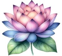 x4 Autocollants vinyle Fleur de Lotus Couvrent les Marques Non Transparents Imperméables Décalcomanies Art 1@ 20 cm de haut Idéal pour toilettes, sièges de toilette ou voiture. 3@ 7 cm de haut Idéal